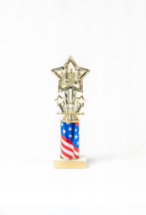 9  Star Themed Figure with Round Column Trophy 1 scaled