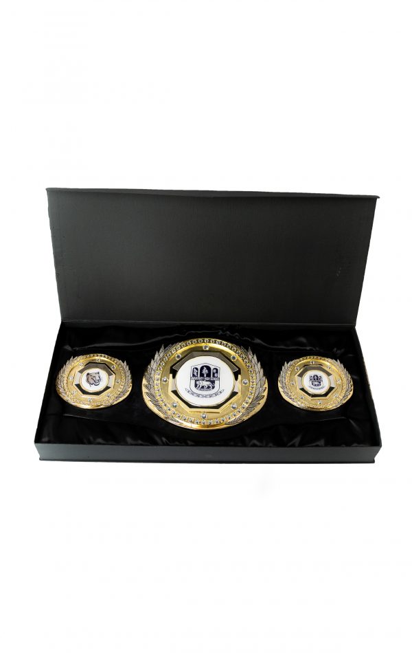 Black Champion Presidential Award Belt 1 scaled