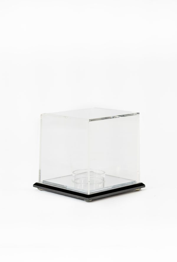 Deluxe Baseball Display Case 2