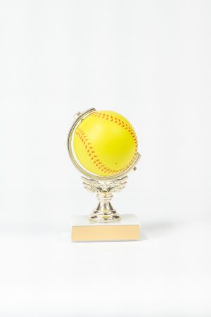 Foam Sports Ball Spinner Figure 1