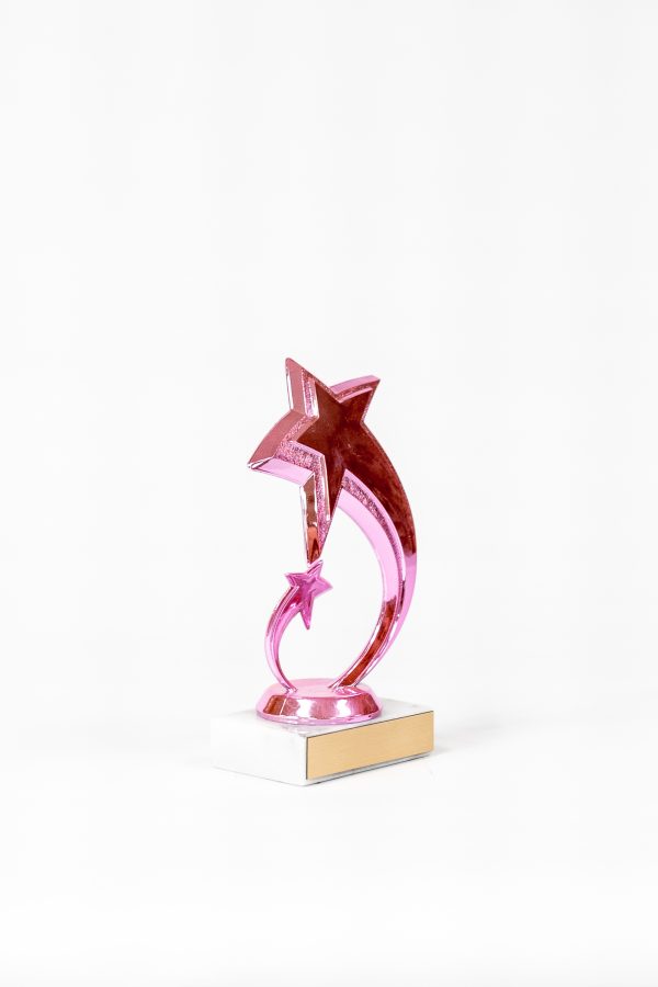 Pretty in Pink Star Figure Trophy 2