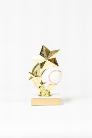 Sports Ball Spinner Figure 1