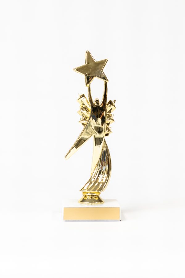 Star Achievement Figure on Marble Base Trophy 1