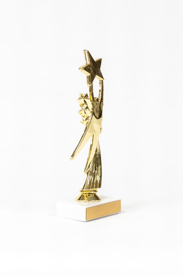 Star Achievement Figure on Marble Base Trophy 2