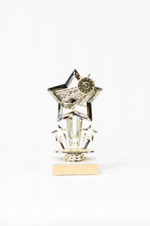 Star Themed Figure on Marble Trophy 1