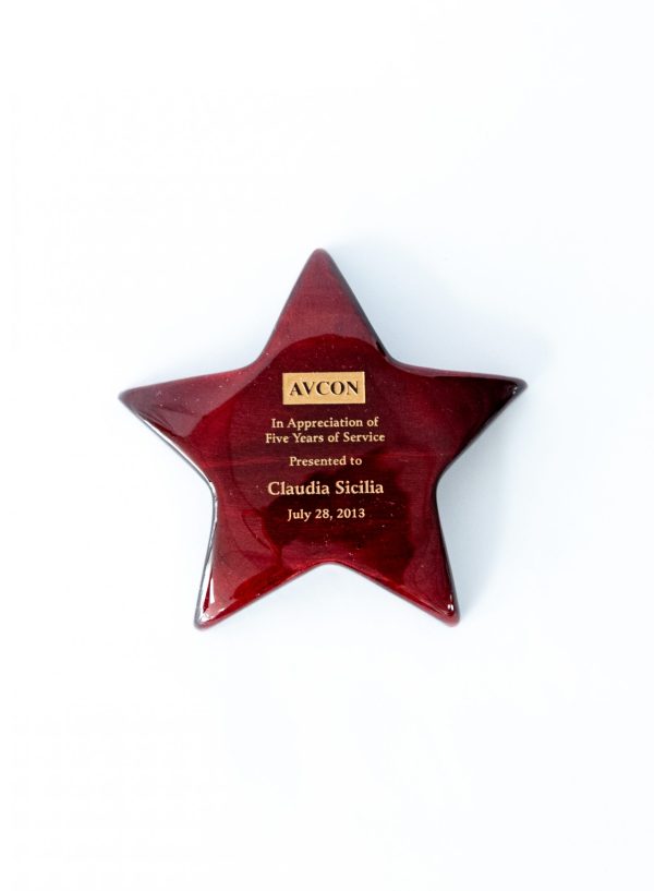 5.5  Rosewood Star Paperweight with Paint Fill 1 scaled