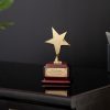 6.5  Trophy Gold Metal Star on Square Rosewood Base 2 scaled