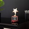 7.5  Gold Metal Star on Round Rosewood Base 2 scaled