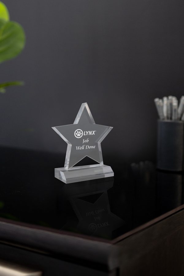 5  Acrylic Star Award 03 scaled