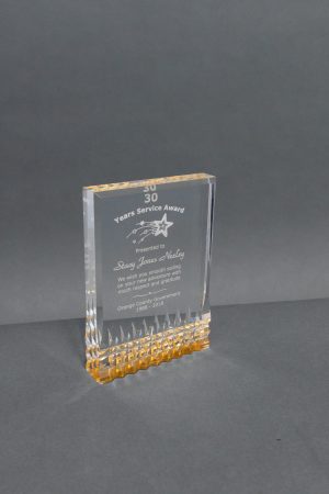 7  Gold Bottom Reflective Acrylic Award 01 scaled