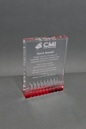 7  Red Bottom Reflective Acrylic Award 01 scaled