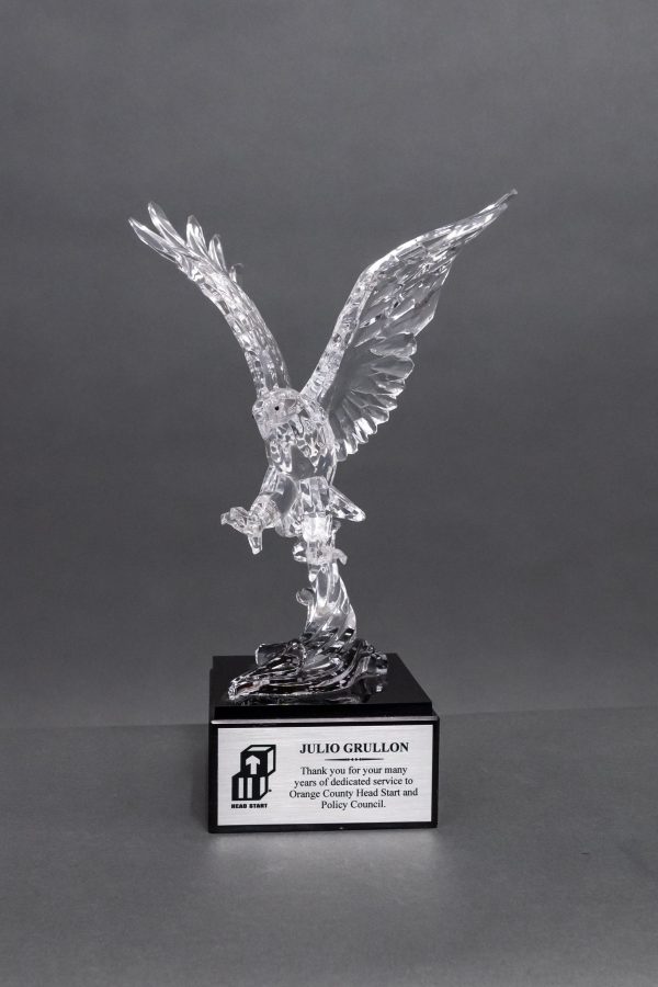 81881 Acrylic Eagle Mounted To Black Marble Base 1 scaled