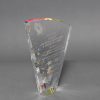 9.25  Crystal Clear Sail 02 scaled