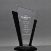 Optic Crystal Black Clear Palace Award 01 scaled